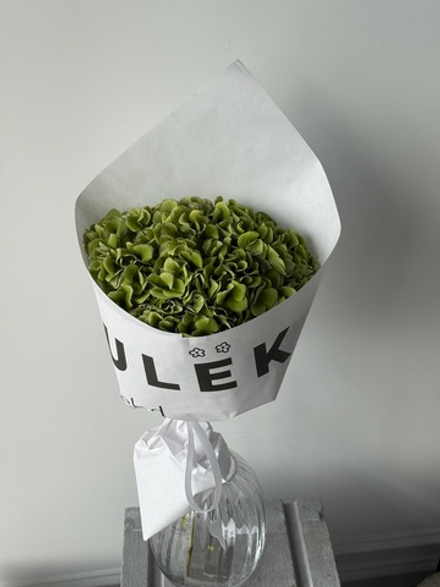 Кулек из гортензии в зеленом оттенке