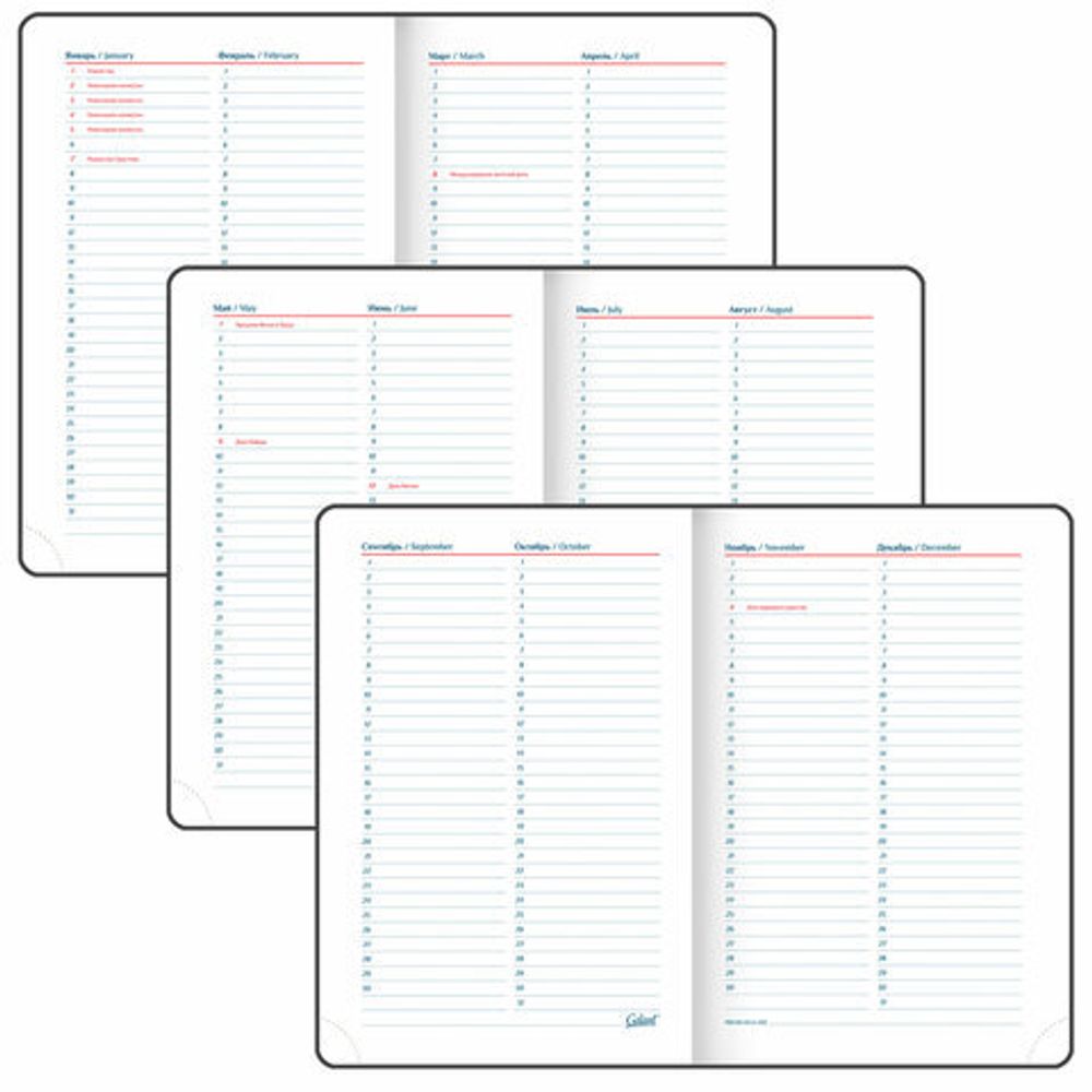 Ежедневник недатированный А5 148х218 мм GALANT "Ritter", под кожу, 160 л., черный, 114464