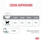 ROYAL CANIN (Роял Канин) Dental Care Корм сухой для взрослых кошек для профилактики образования зубного налета и зубного камня, 400 г