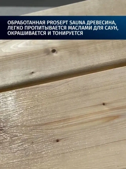 Антисептик для бани и сауны внутри/ обработка дерева для пола, стен, вагонки PROSEPT (Просепт) жидкая пропитка от плесени, грибка и гниения, бесцветная 5 л (арт. 016-5)