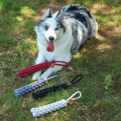 Игрушка для собак Перетяжка COTO 34 см M-Pets