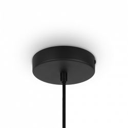 Подвесной светильник Maytoni Roots MOD194PL-01W