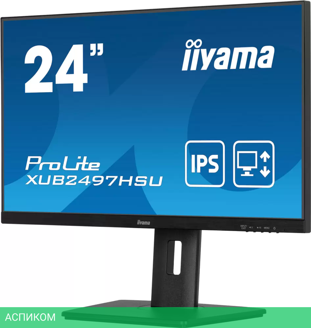 Монитор Iiyama ProLite XUB2497HSU-B2