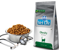 Сухой корм FARMINA Obesity Feline для взрослых кошек при ожирении - 0,4 кг