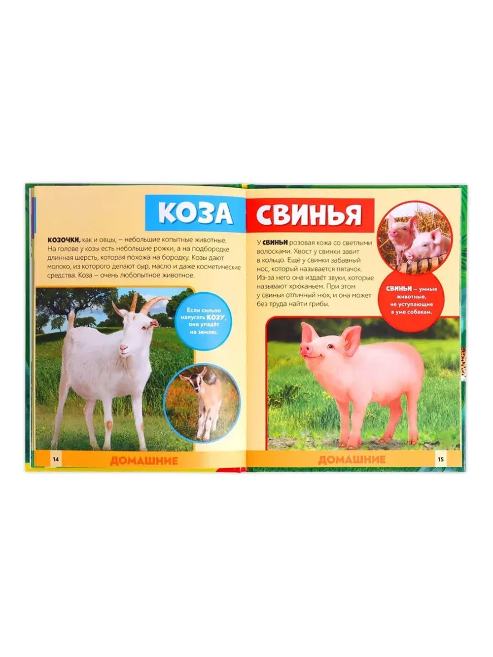 Энциклопедия В мире животных