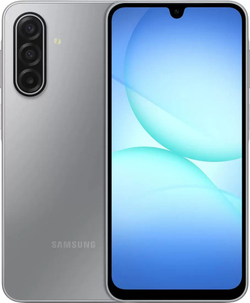 Samsung Galaxy A17 6/128Gb RU Gray