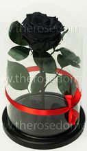 Роза в колбе 27см Premium бутон 8см черная