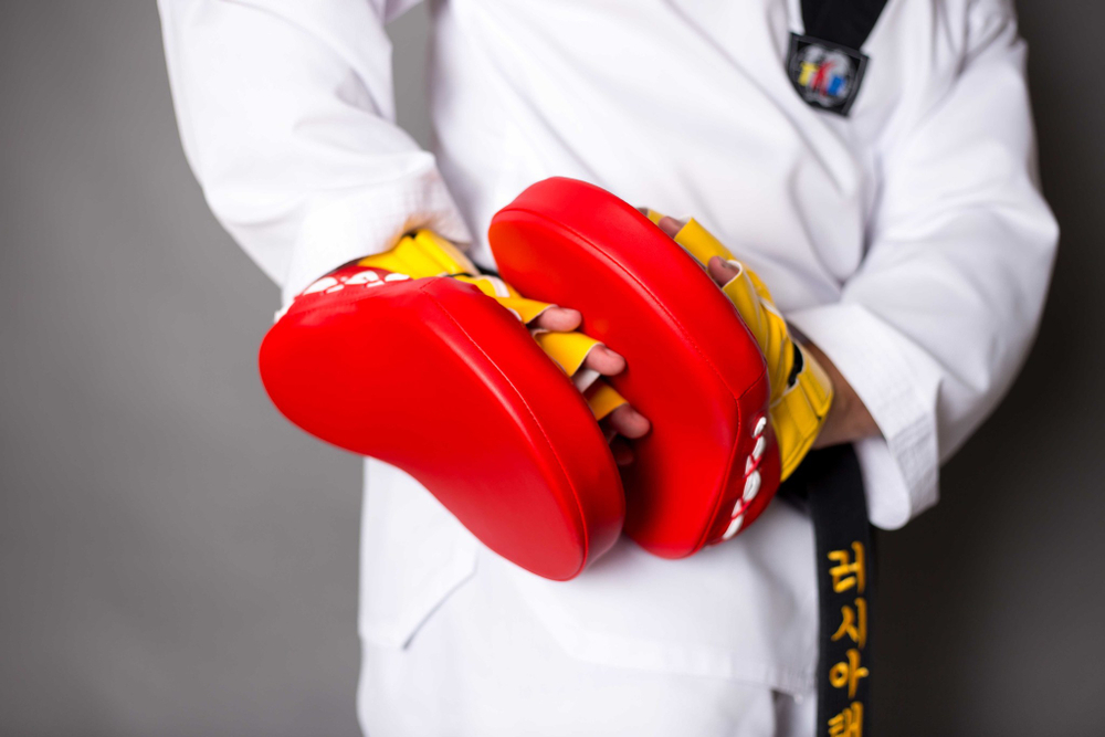 Лапа тренерская ProfSport для Тхэквондо