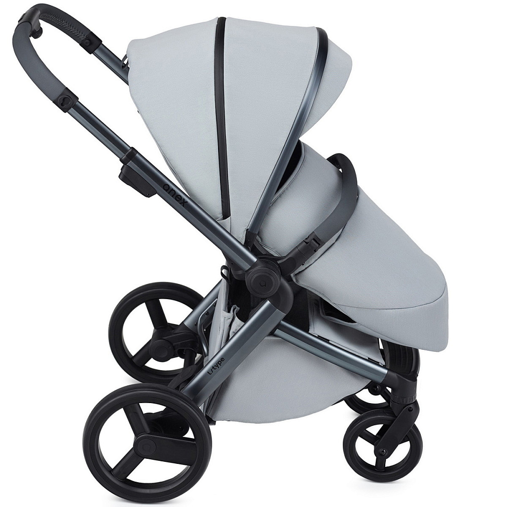 Детская коляска Anex l/type 2 в 1 с аксессуарами frost