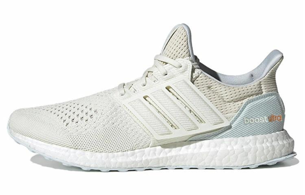 Кроссовки Adidas Ultraboost 1.0 Dna