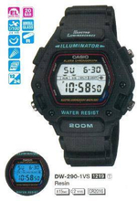 Мужские  наручные часы Casio Collection DW-290-1V