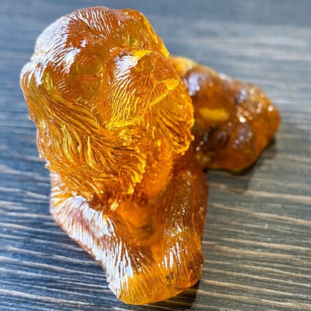 Спаниель лежит