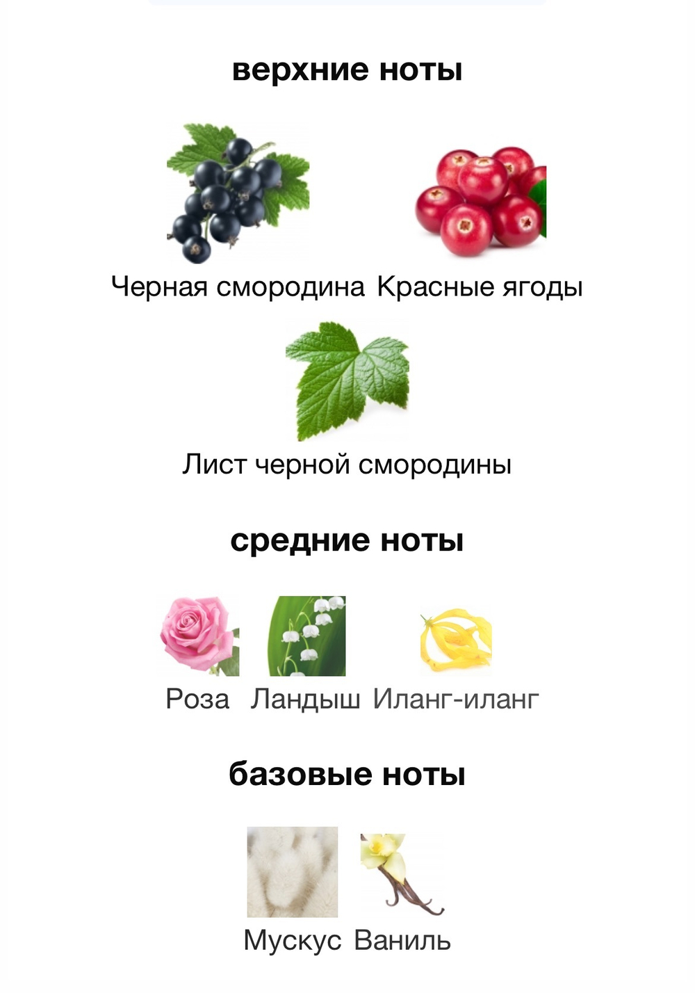 Meliora Parfums de Marly