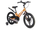 Maxiscoo SPACE Deluxe 18'' (2025)