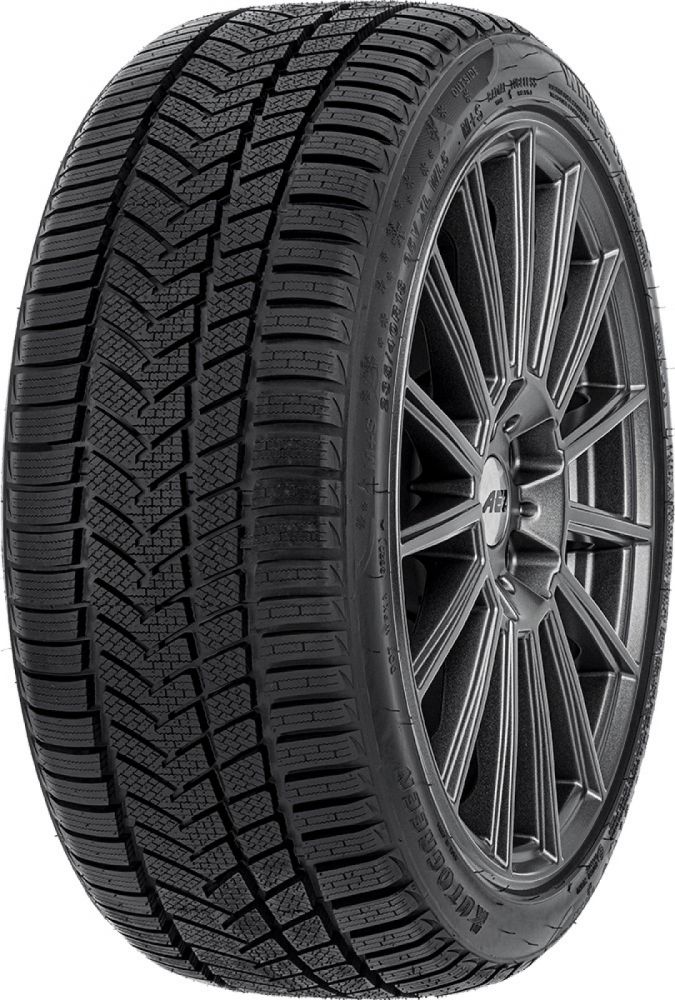 Autogreen Winter-max A1-WL5 225/45 R17 94V