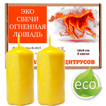 Свечи новогодние, Огненная лошадь, 10х5 см, 2 шт, восковые, хвоя и цитрусы