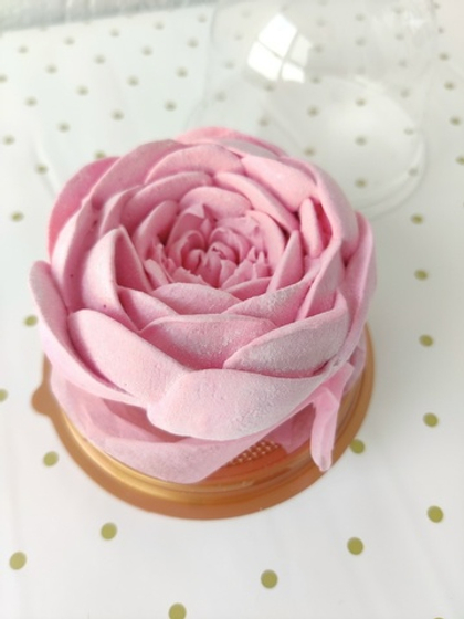 Купол "Пион"