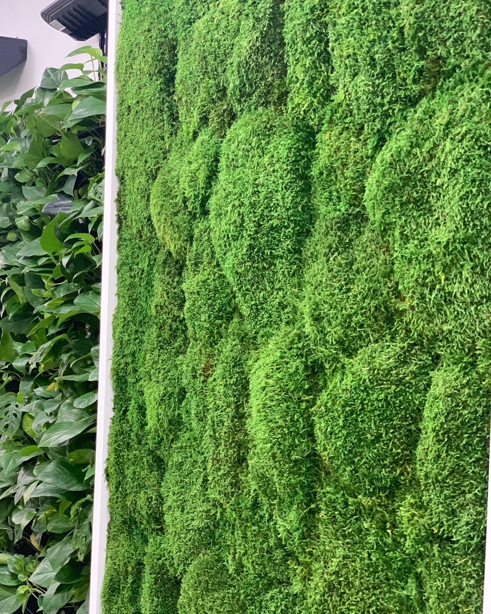 Стоматологическая клиника "ОРТОДОНТиЯ"  г.Краснодар