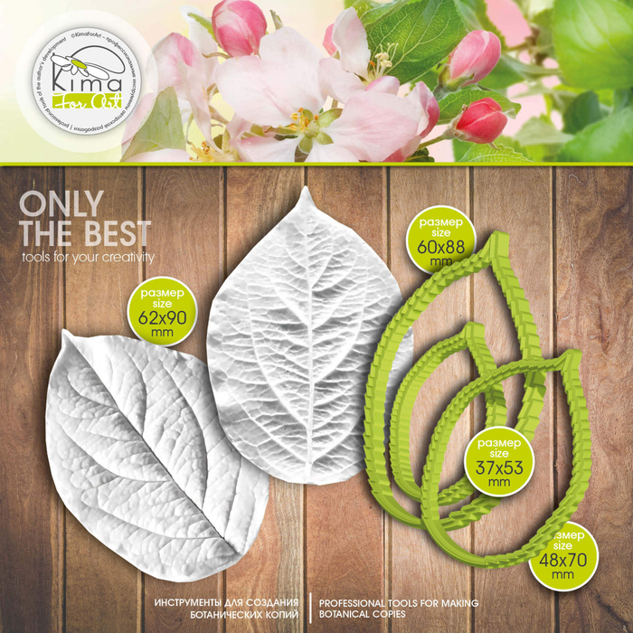 Яблоня лист большой