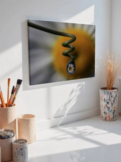 Картина на стену 40 X 50 Ромашка в росе