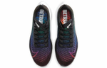 Кроссовки Nike Pegasus 37 Betrue