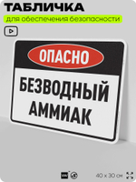 Табличка для обеспечения безопасности "Опасно безводный аммиак", для производства, предприятия, организаций, 40х30 см, Silver Plane x Айдентика Технолоджи