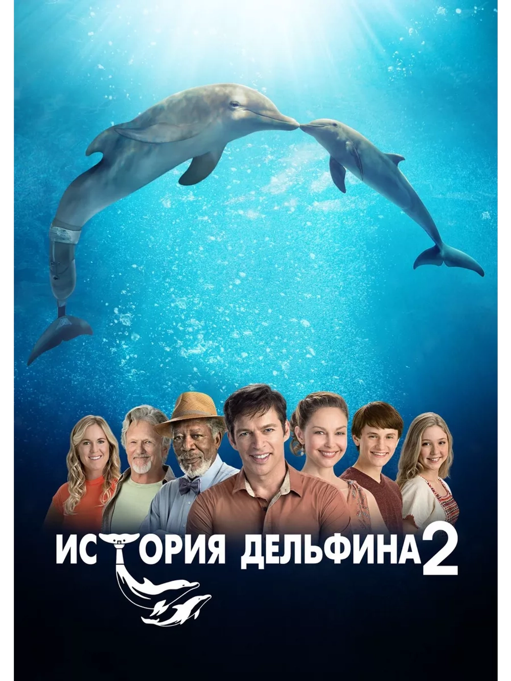История дельфина 2 (2014) (DVD-R)