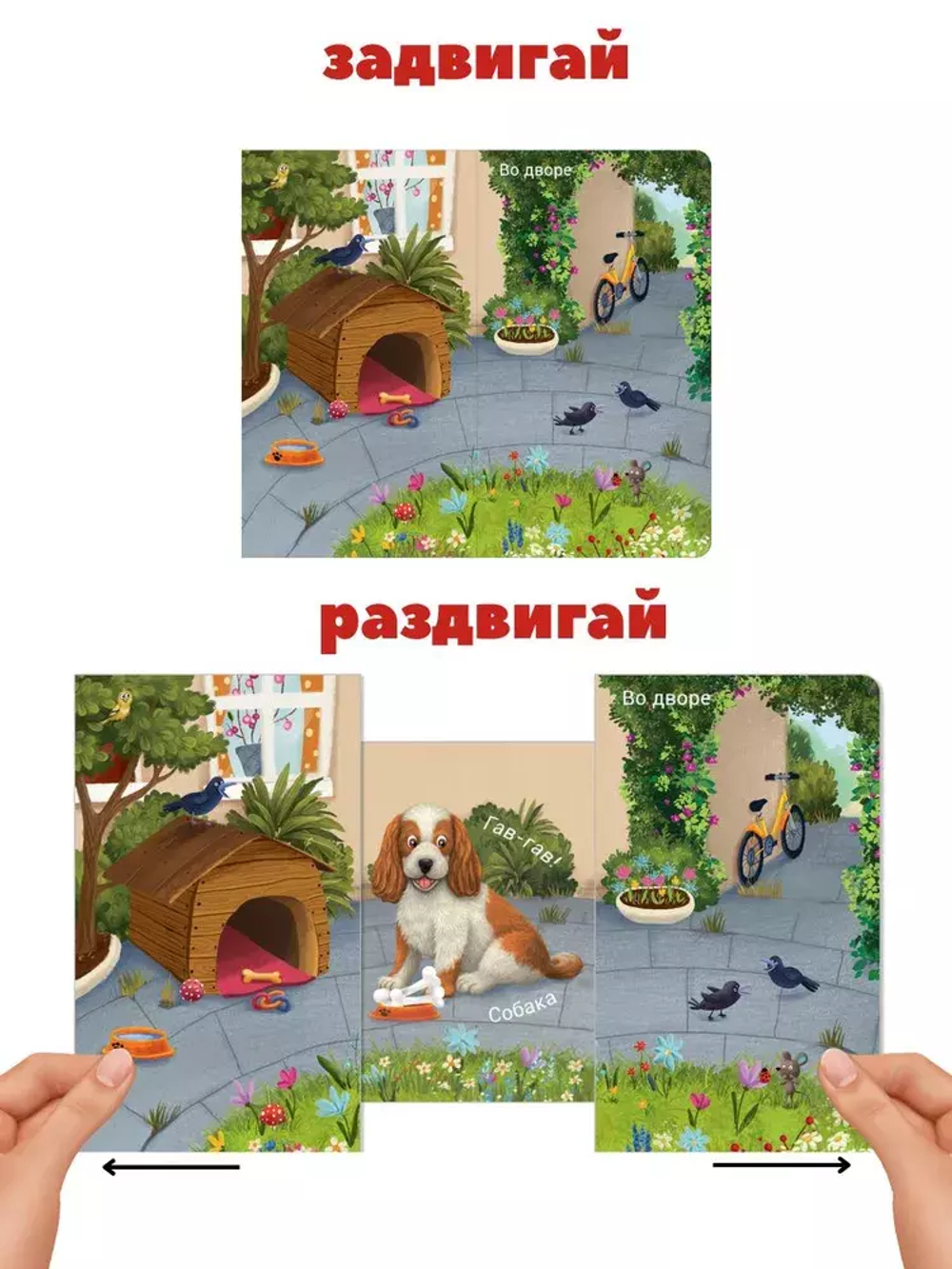 Книжки - задвижки. Кто где живёт?