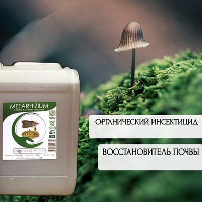АГРОСПАРК-Метаризиум 5л Metarhizium anisopliae