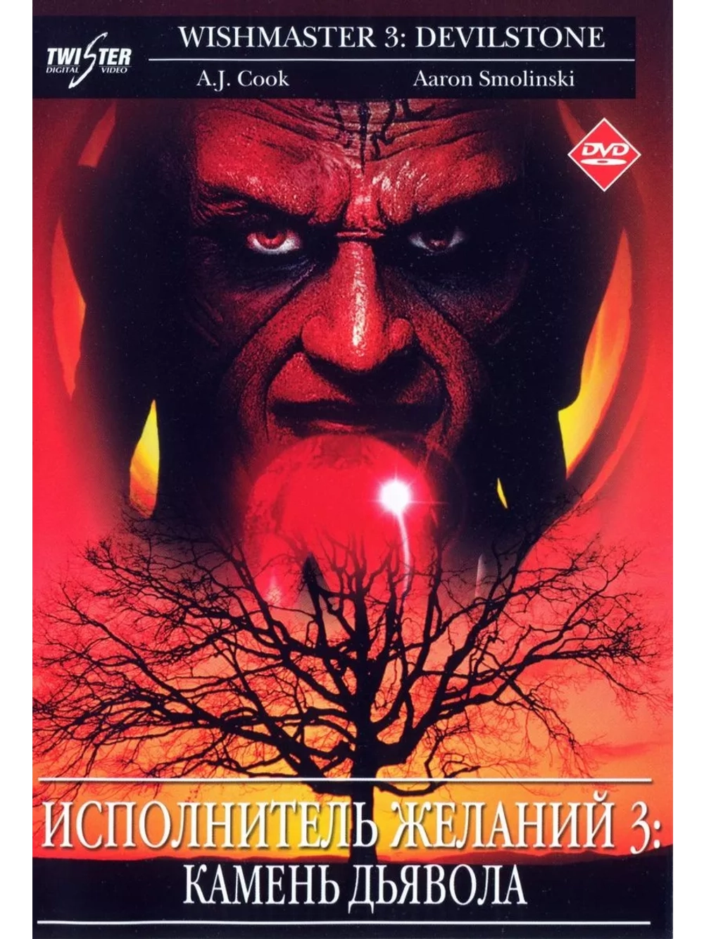 Исполнитель желаний 3: Камень Дьявола (2001) (DVD-R)