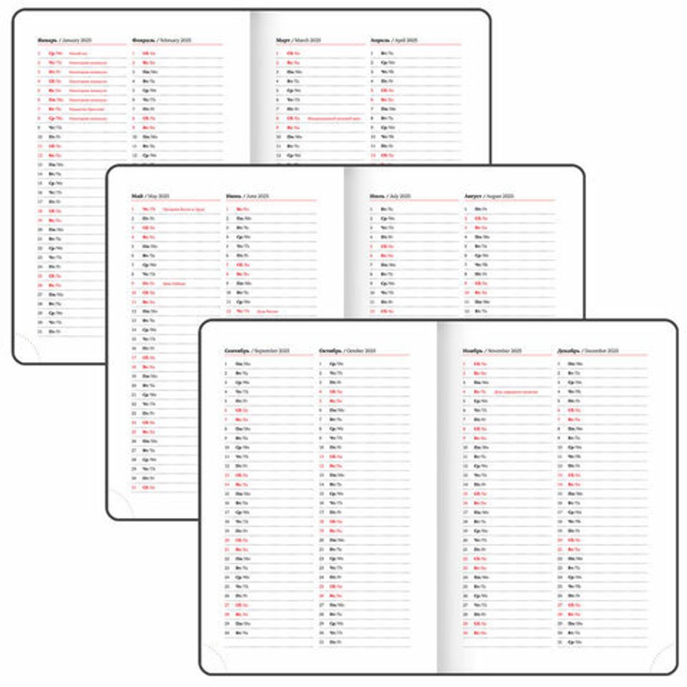 Ежедневник датированный 2025, А5, 138x213 мм, BRAUBERG "Favorite", под кожу, черный, 115762