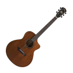 Акустическая гитара Gopherwood i160MC