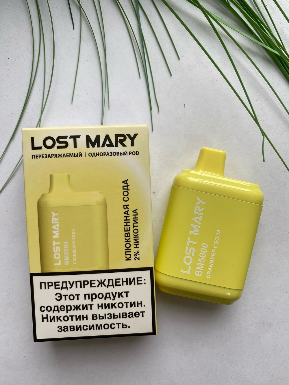 Одноразовая ЭС Lost Mary BM5000 с до-зарядкой