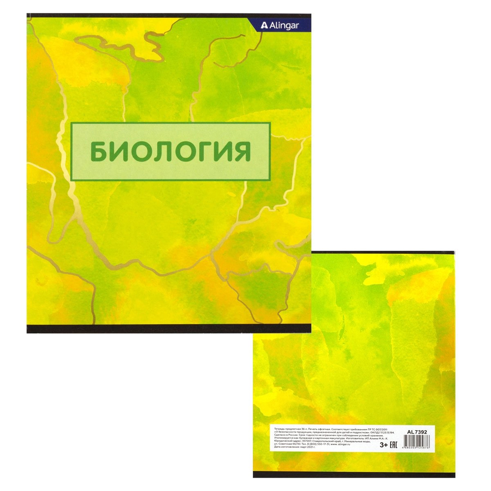 Комплект предметных тетрадей А5 36л., 10 предметов, со справочным материалом, скрепка, мелованный картон (стандарт), блок офсет, Alingar "Мрамор"
