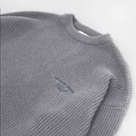 Свитер Dissident BHC серый