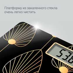 Напольные весы Rowenta Premiss BS1438V0