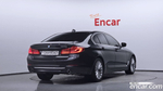 BMW 5 Series (G30) 520d Luxury Plus (10.2019)
