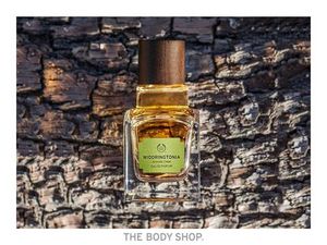 The Body Shop Widdringtonia