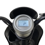 Электротрицикл GT-EV5 (Черный)