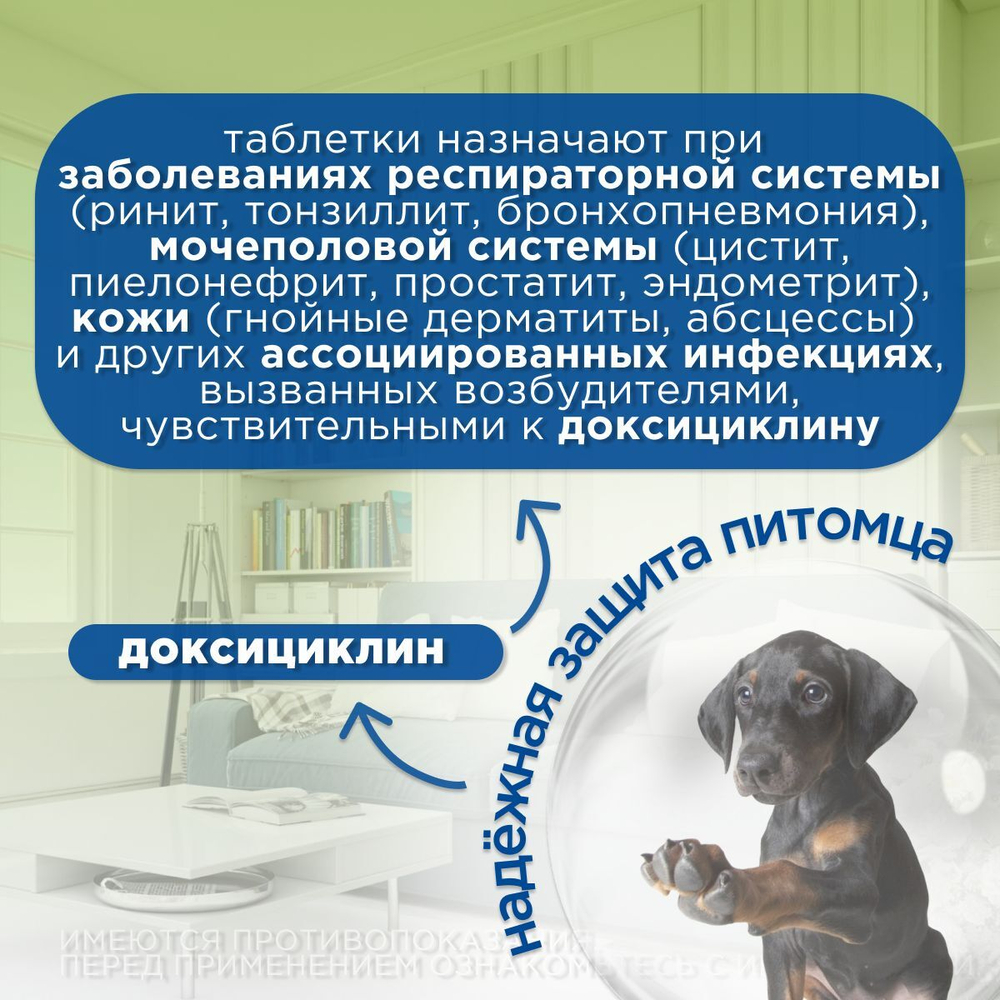 Антибиотик для кошек и собак противомикробные жевательные таблетки Okvet Докситрон 100мг, 12таб