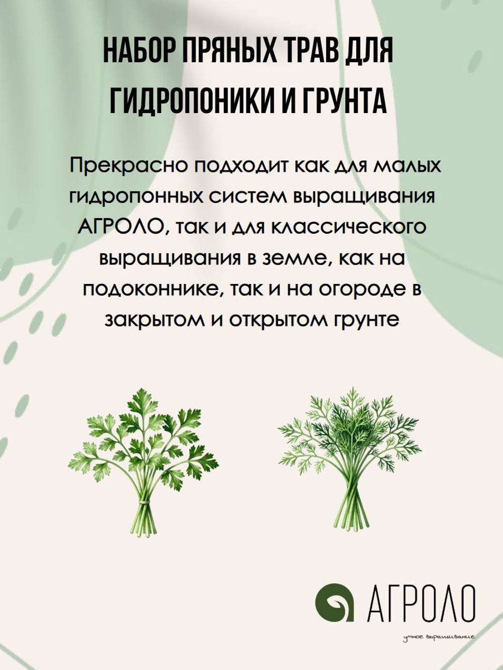 Набор семян зелени для выращивания в гидропонике и в грунте 7 упаковок: базилик, салаты, руккола, щавель , 7 гр.