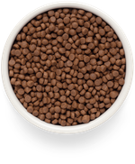 Premier cat lamb & turkey adult ягненка с индейкой для кошек