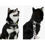 Ошейник staya Wild, с пластиковым фастексом