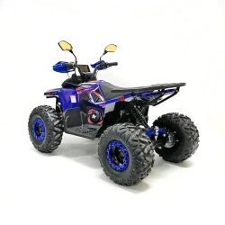 Квадроцикл Green Camel Атакама T630 (72V 2000W R8)