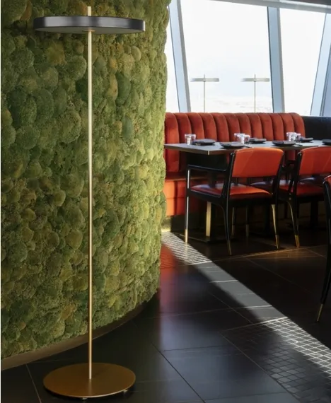 Напольный светильник Umage Asteria Floor, Ø43х151 см, антрацит