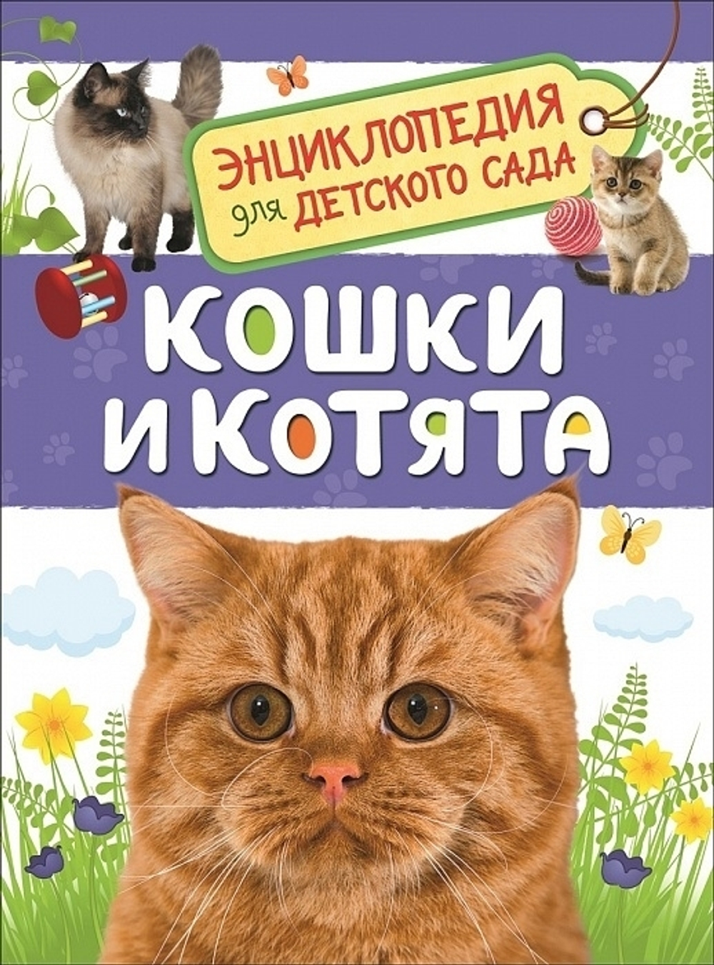 Мигунова Е. Я.  Кошки и котята (Энциклопедия для детского сада)  Энциклопедия для детского сада  Росмэн