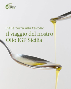 Оливковое масло OlеumSicilia Natolio 1 л, Сицилия, Италия