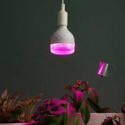 Фитолампа для растений светодиодная ЭРА GREEN LINE ФИТО-35W-PL-E27-GR красно-синего спектра 35 Вт Е27 | Фитолампы Е27