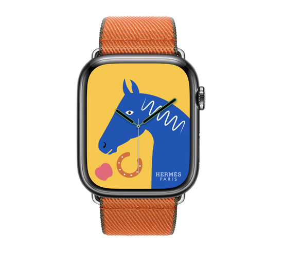 Apple Watch Hermès 45mm Space Black Stainless Steel Case with Orange/Kaki Twill Jump Single Tour