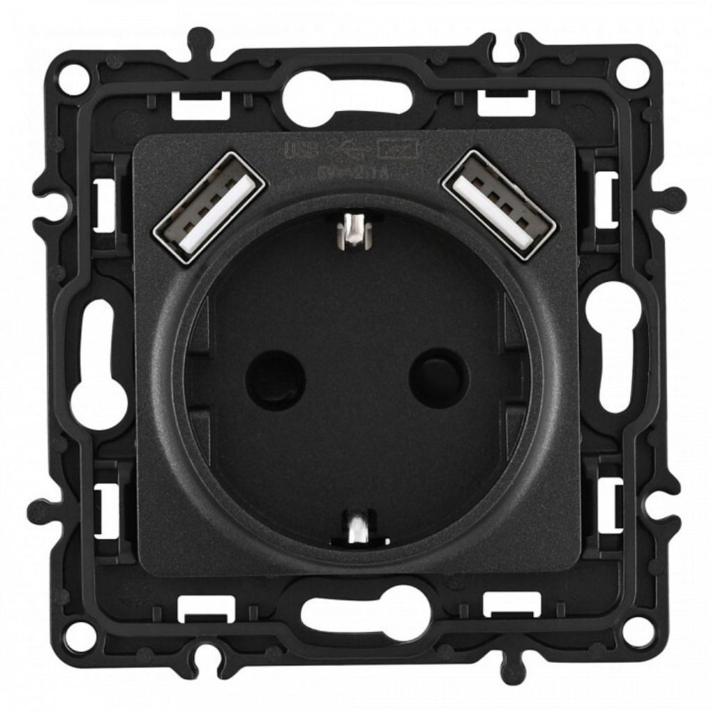 Розетка с заземлением и со шторкой и 2хUSB, без рамки Arte Milano am-217 217.47-1.black